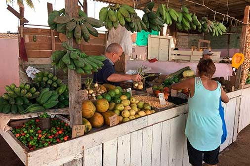 1011 venta de productos agricolas