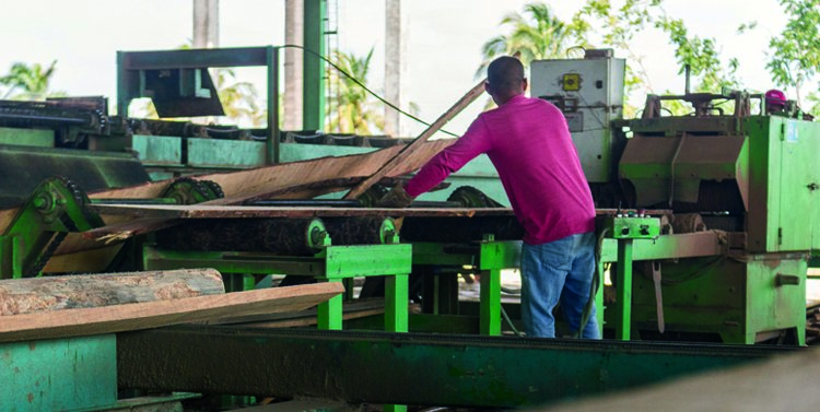 agroforestal macurije pinar del rio cuba 750x377 1