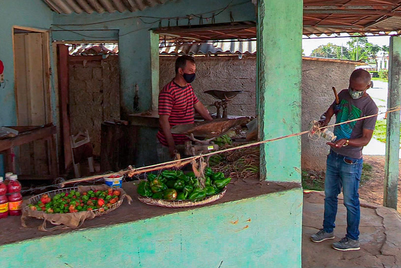 herradura mercado