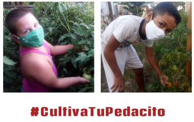 1CultivaTuPedacito