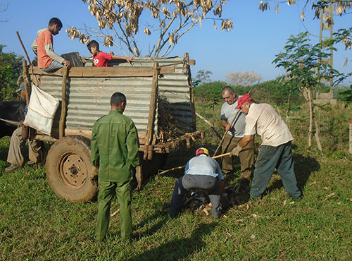 Vecinos del consejo popular Paso Quemado laboraron en la limpieza y embellecimiento de la comunidad