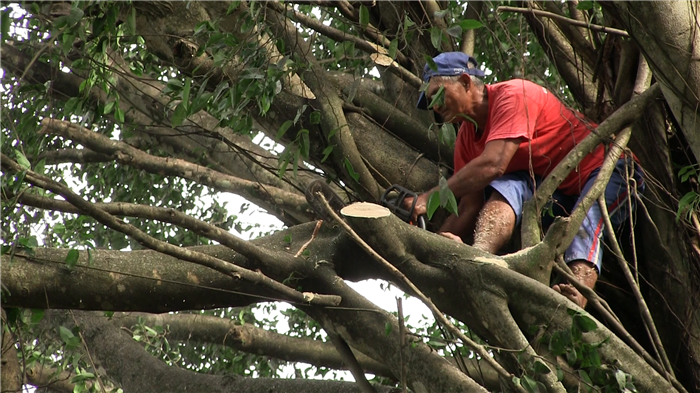 Linieros Mayabeque 5