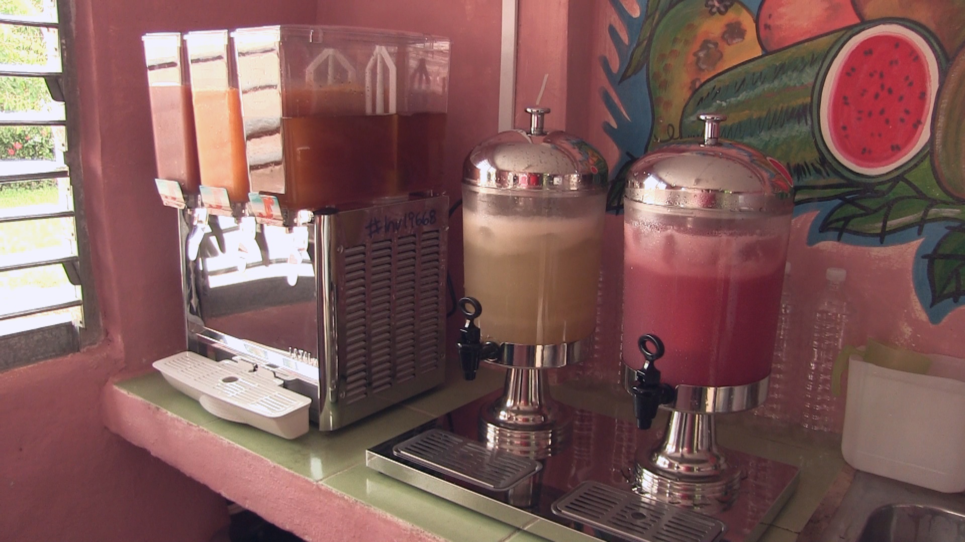 Servicio de jugos naturales en Mantua 2