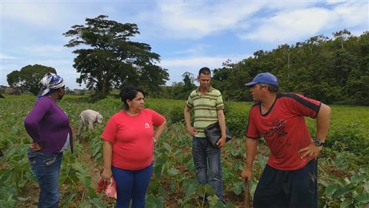 Primera Secretaria del Partido en Mantua se preocupa por el estado de los cultivos