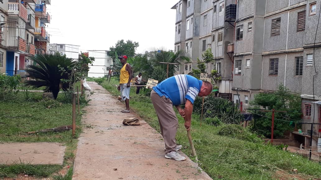 Trabajo voluntario la sabana