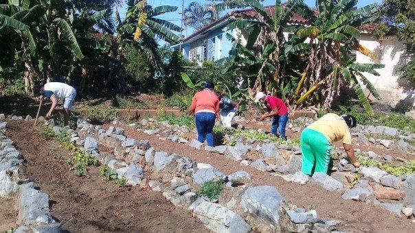 jovenes agricultura