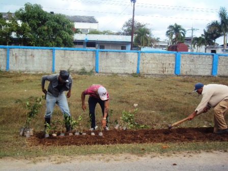 Trabajadores de servicios comunales construyen nuevas jardinerías