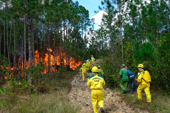 Ejercicio contra incendio en San Juan y Martínez