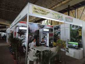 camilo stand