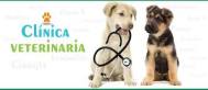 veterinaria