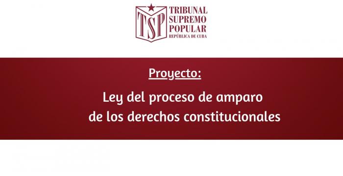 Disponible: Ley del proceso de amparo de los derechos constitucionales.