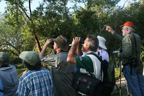 OBSERVADORES DE AVES