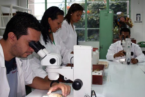 cientificos dos