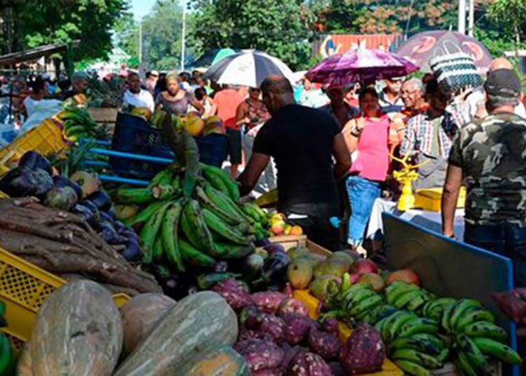 feria_agropecuaria_pinar-Guerrillero-Pinar-del-Rio-Cuba-750x536-1.jpg