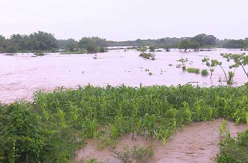 lluvias agricultura 01