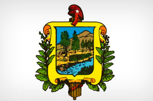 logo escudo pinar